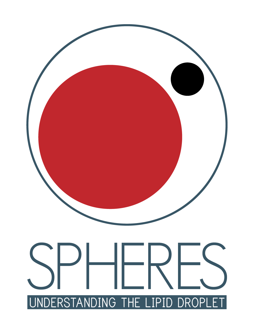 logo-SPHERES Lipid droplet hypertrophy